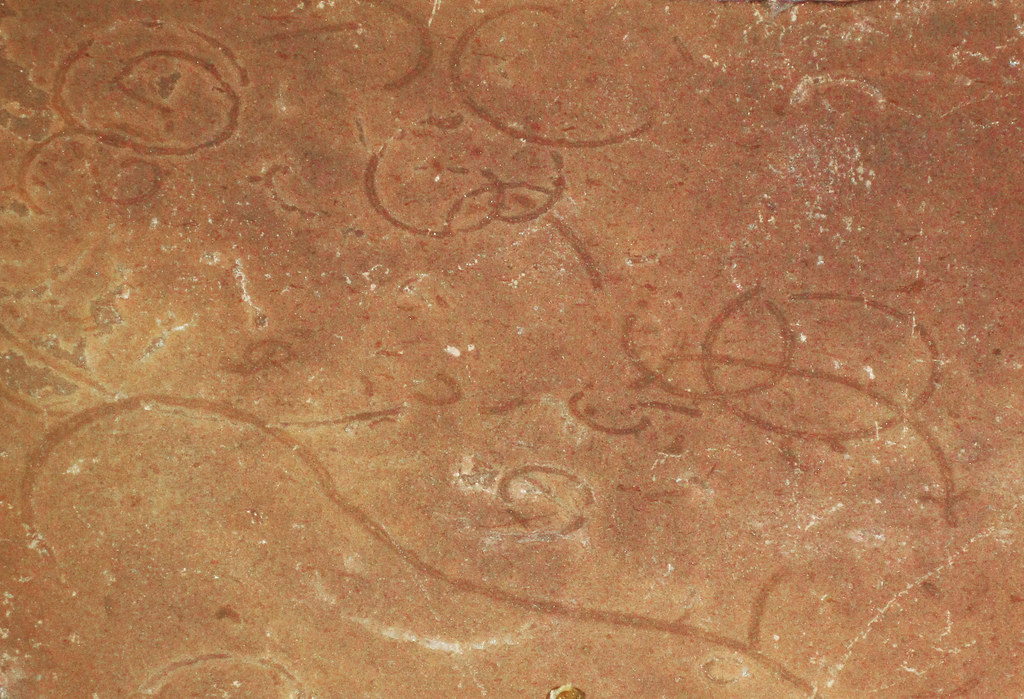 Grypania spiralis (Negaunee IronFormation, Paleoproterozo… Flickr