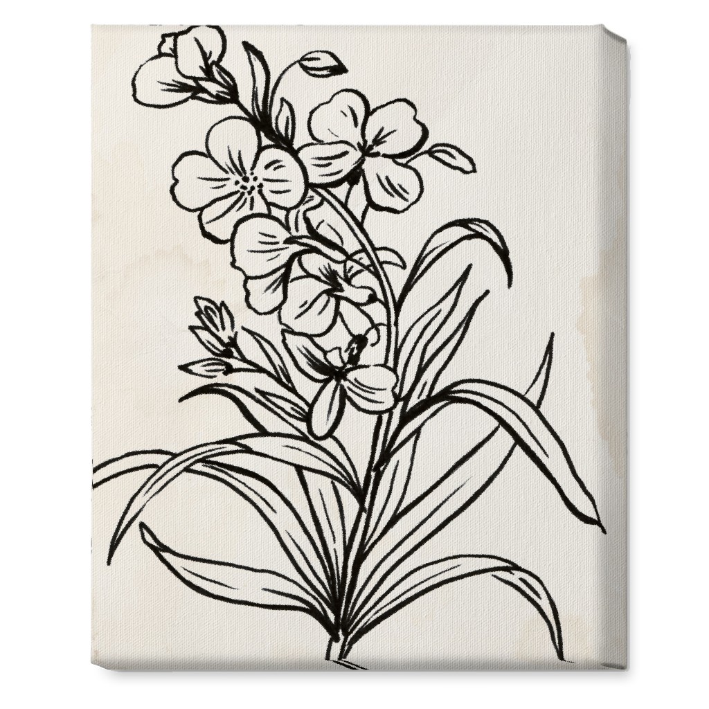 Vintage Wallflower Sketch Beige and Black Wall Art Shutterfly