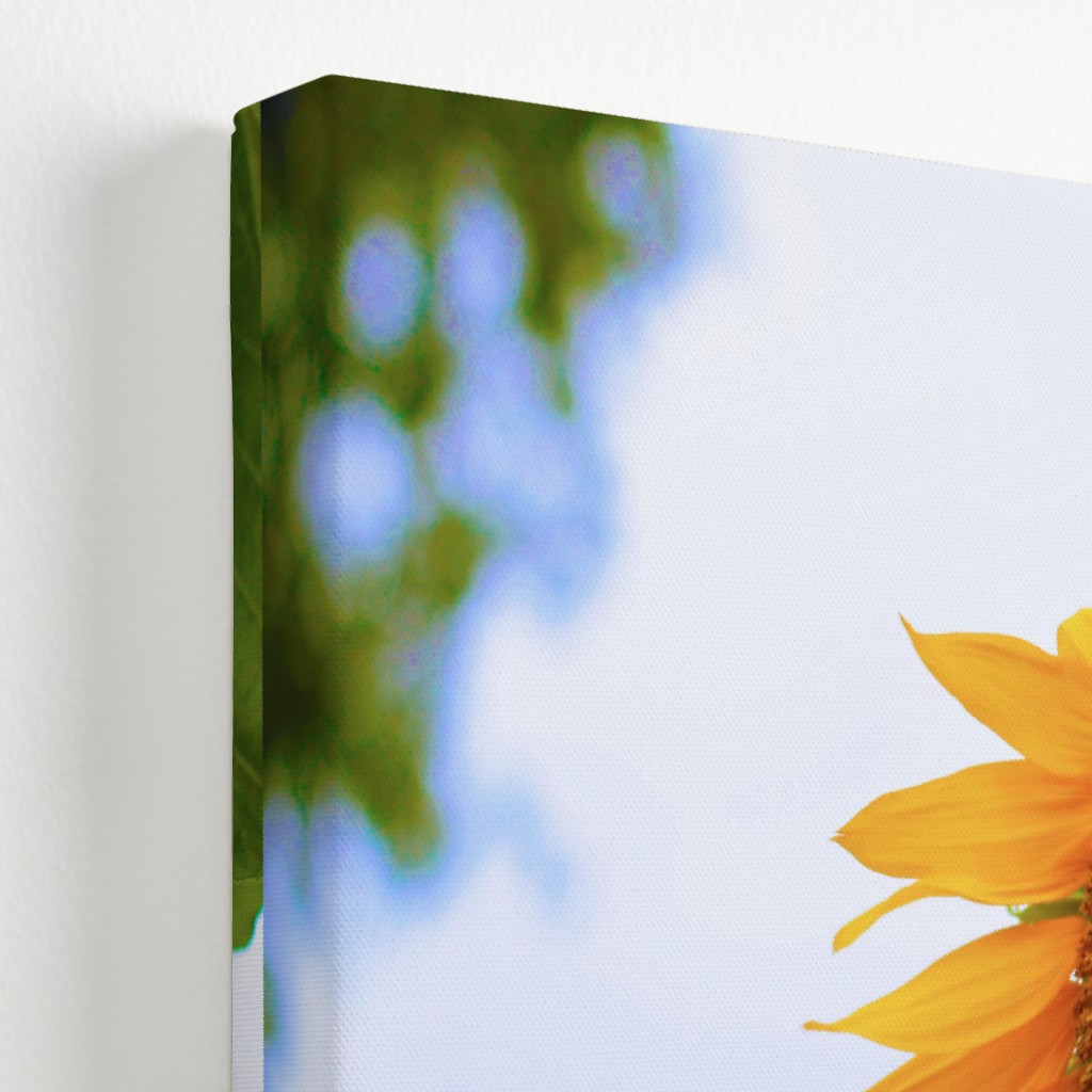 Sunny Sunflower Yellow Wall Art Shutterfly