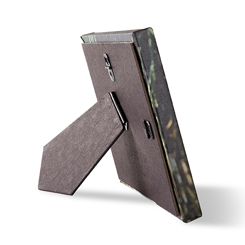 Photo Gallery Easel Back Canvas Shutterfly