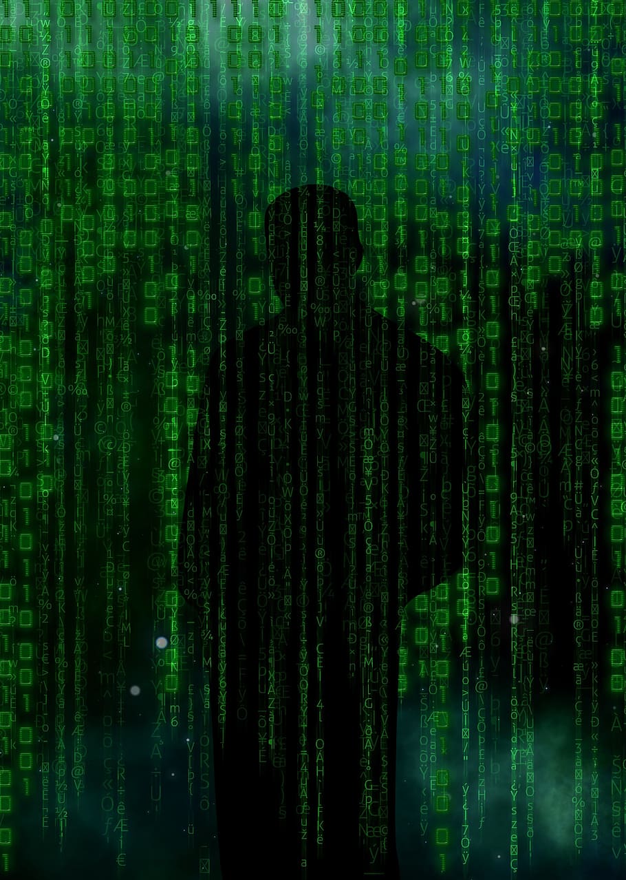 HD wallpaper green binary wallpaper, code, hacker, data, security