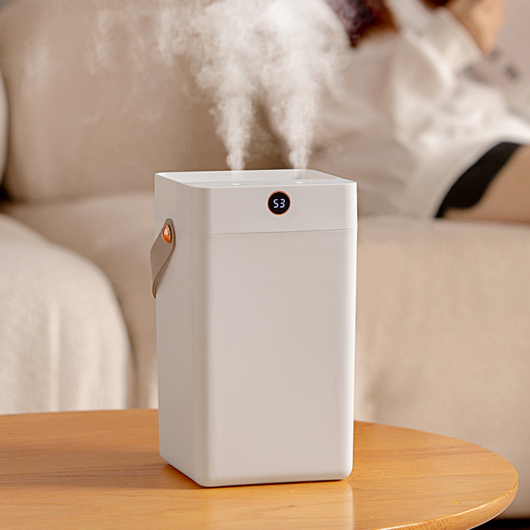 Air Humidifier DQ216/DQ217（3000ml）, Large capacity humidifier, Cost