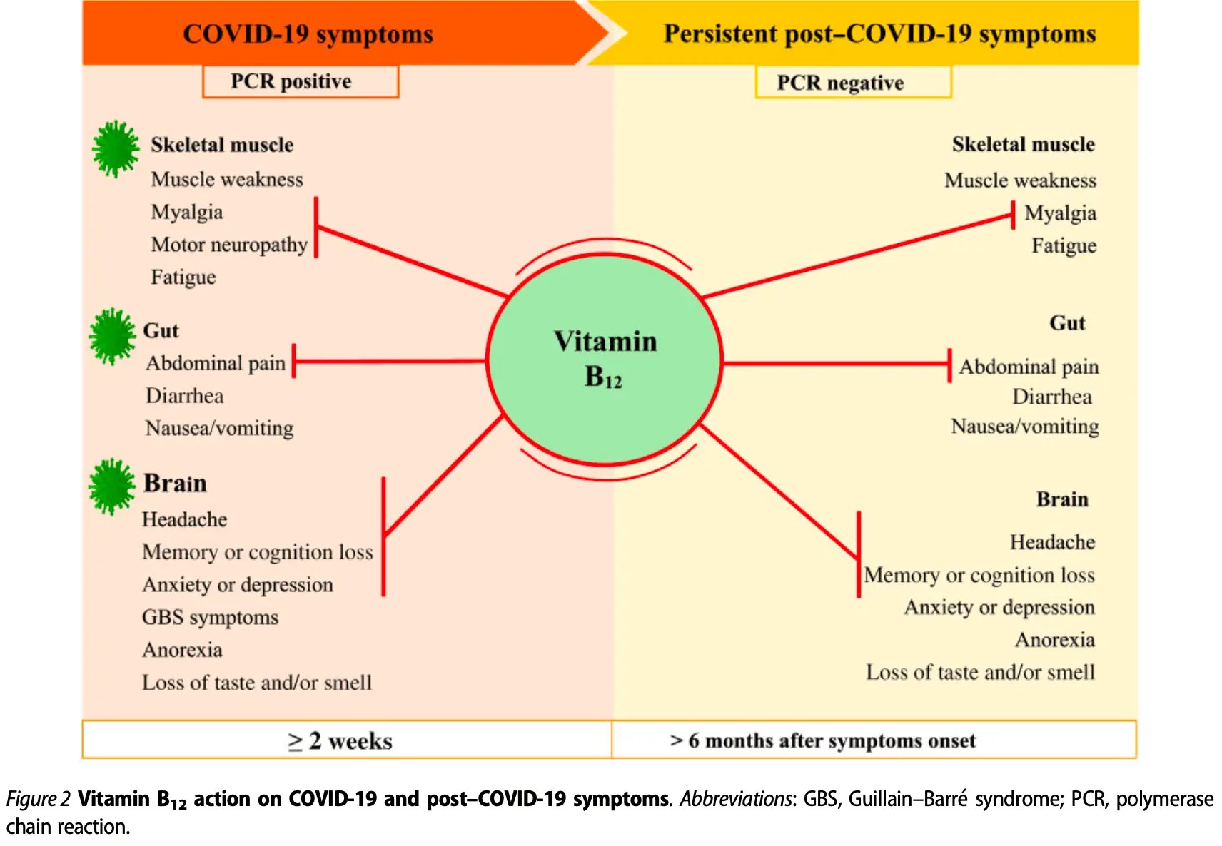 Batista The role of vitamin B12 in viral infections a comprehensive