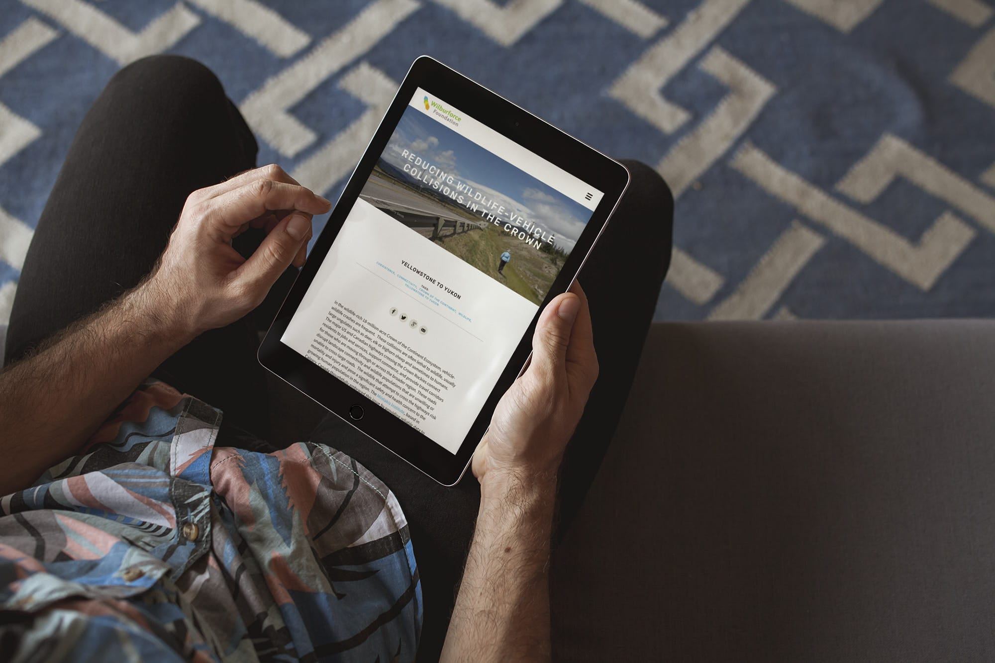 Wilburforce C1 STUDIOS