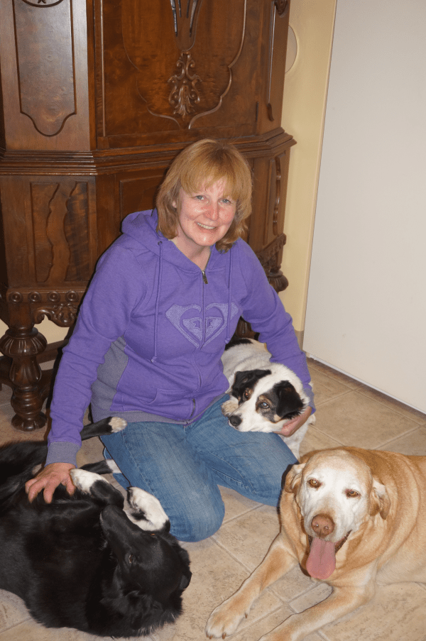 Meet Our Vets Edmonton, AB Northgate Veterinary Hospital