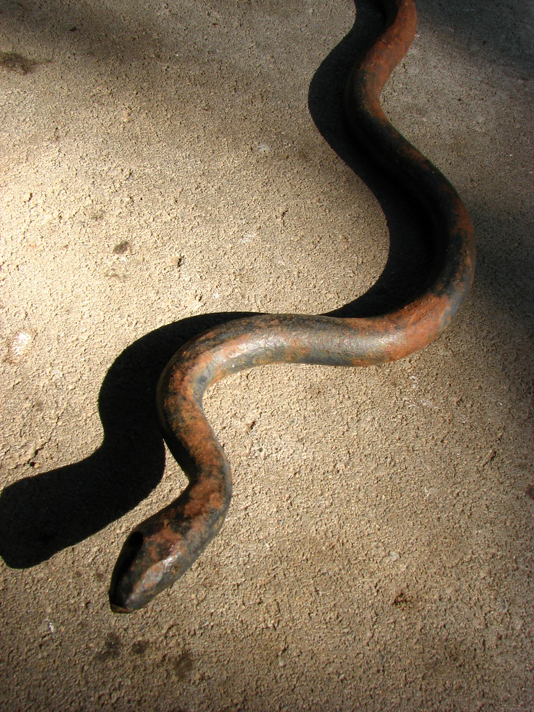 Slither Iron snake!!! Eeeek!! Good Eye Might Flickr