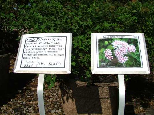 Plant Signs Sales yard plant signs. Also see close up