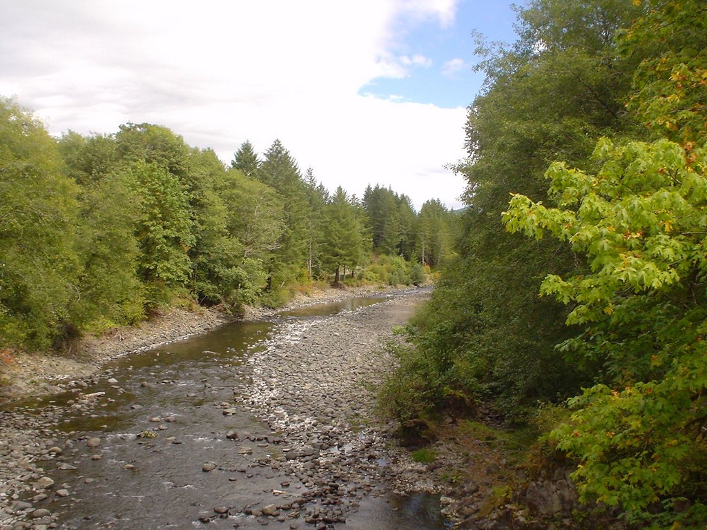 Wilson River, Oregon This was taken in September 2007. Bro… Flickr