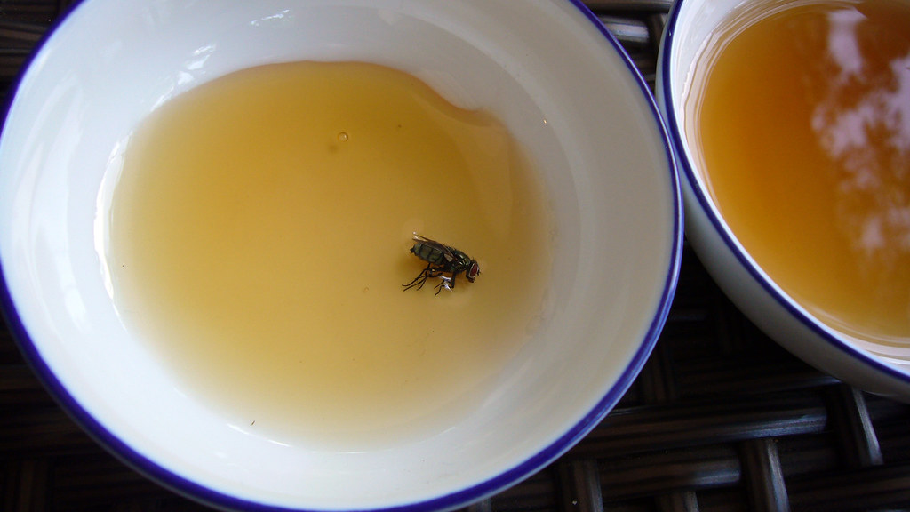 You catch more flies with honey than with vinegar Kent Wang Flickr