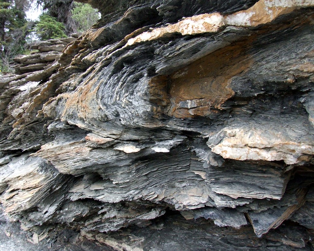 Shale Outcropping I like the folding on this formation. Travis Flickr