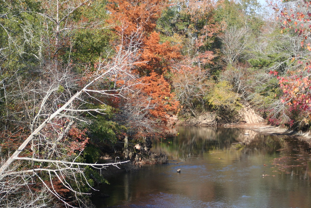 Pea River Pea River, Coffee County, Alabama Susie Jones Flickr
