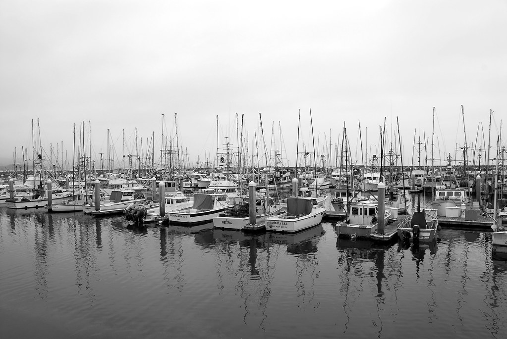 Docked At Princeton By The Sea, Half Moon Bay, California.… Flickr