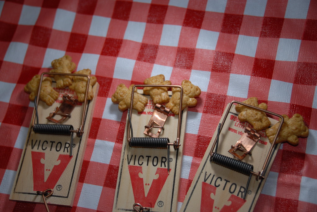 Catching Bears However, picnics are remarkably effective. Josh More