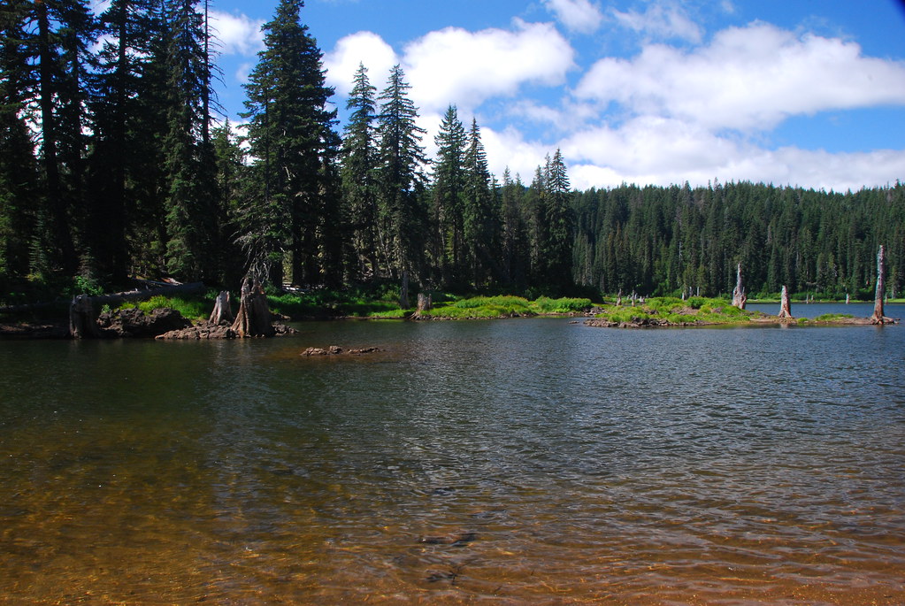 Goose Lake Goose Lake. Gifford Pinchot National Forest, Wa… Flickr