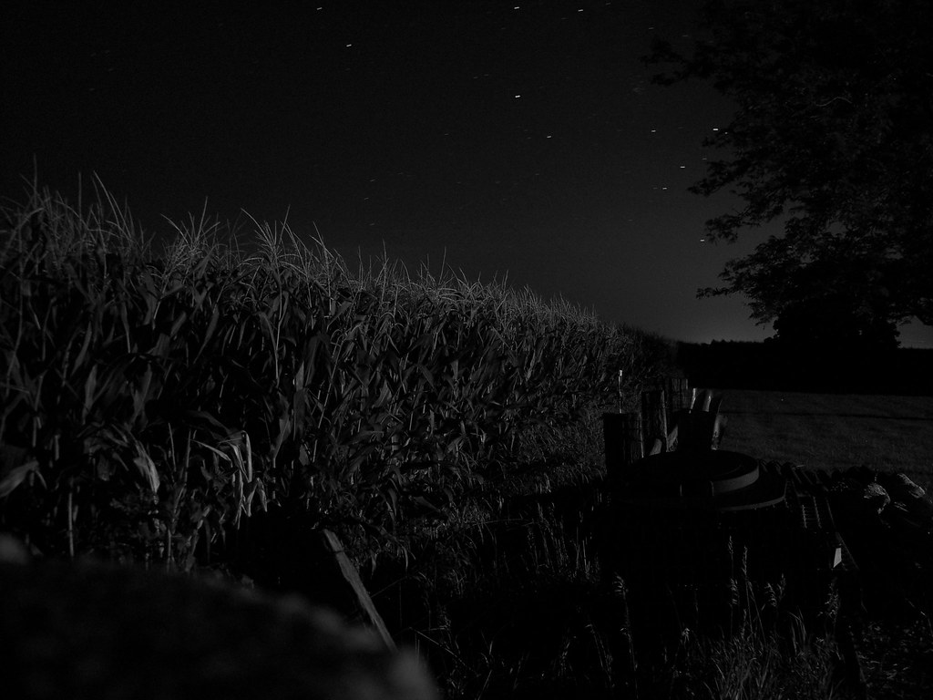 Corn field at night A dark corn field Murphy R. Flickr