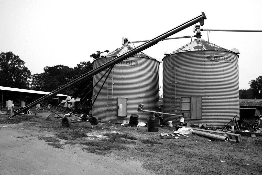 Butler Grain Bins, Hog Farm, Lee County, tburton Flickr