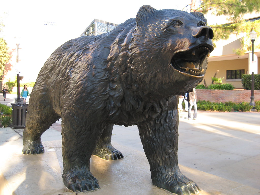 Bruin bear Here's UCLA's mascot. Tri Minh Flickr