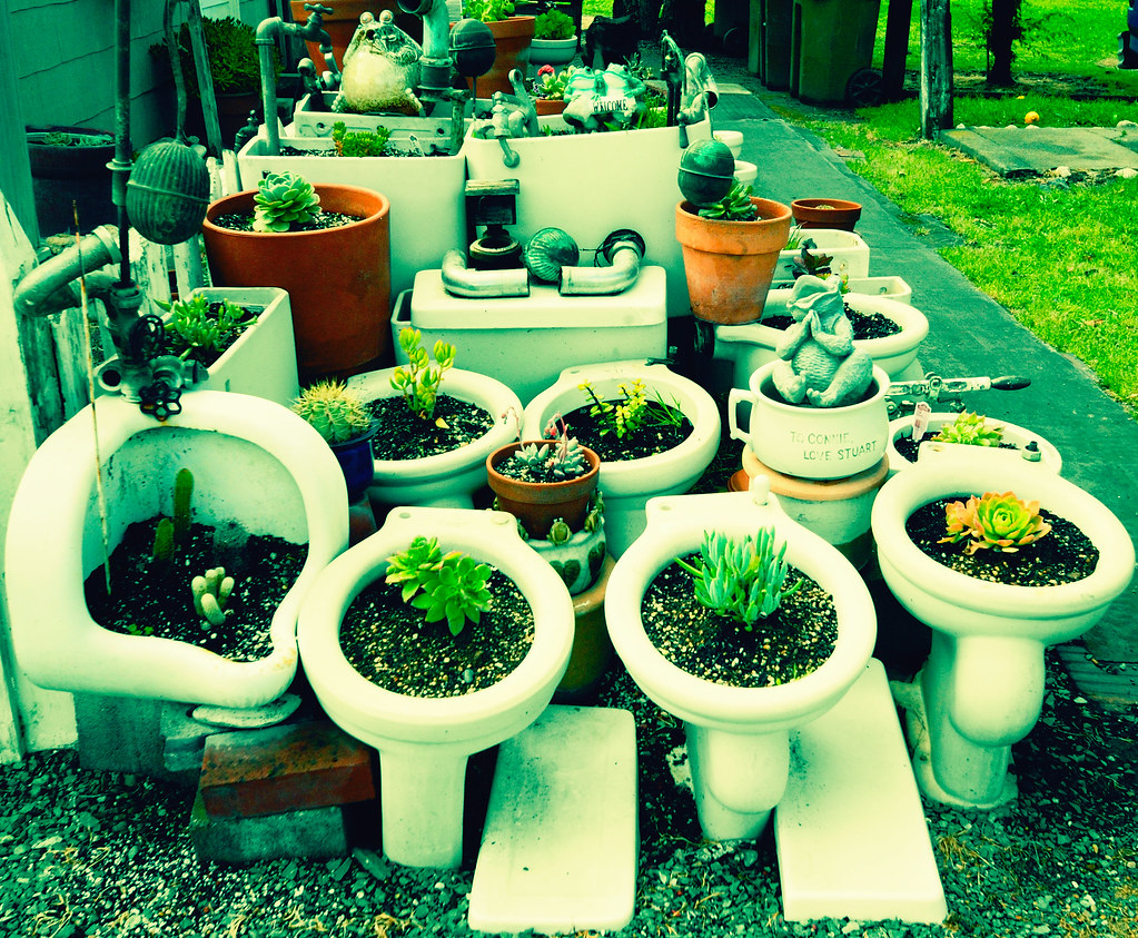'pot' plants the toilet garden of Locke. Dave Flickr