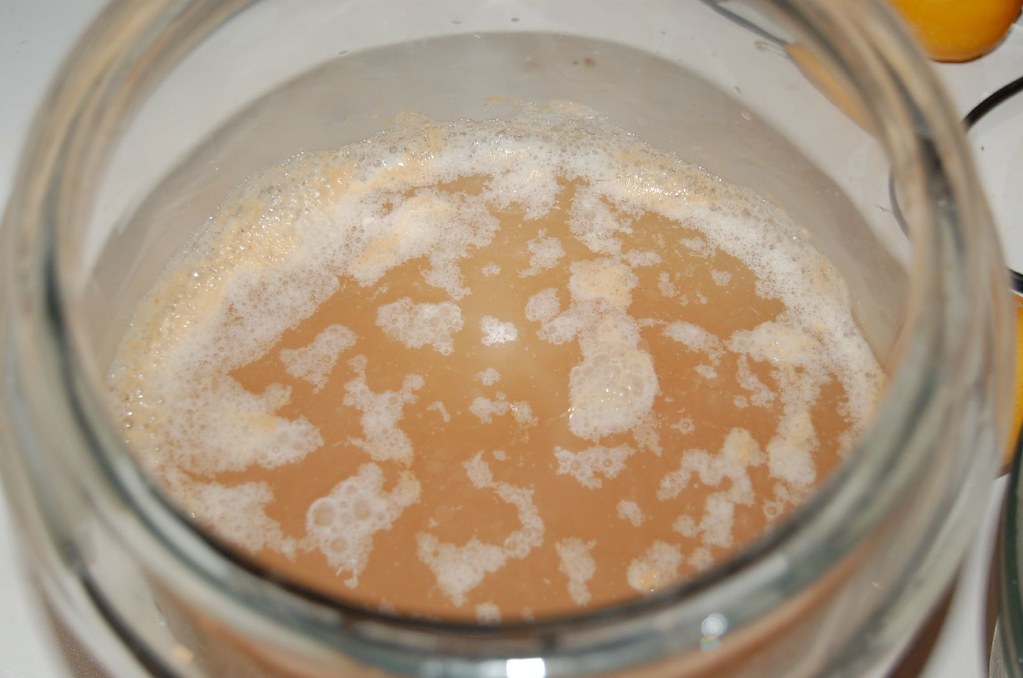 Apple cider vinegar Bubbling Two weeks in. It had develo… Flickr