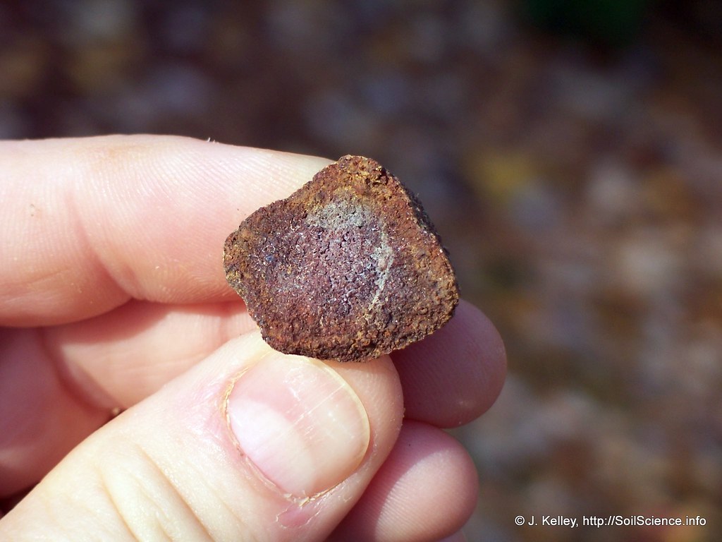 Ironstone (14) Ironstone is a sedimentary rock formed from… Flickr