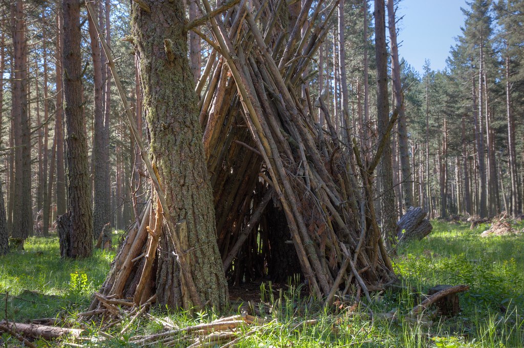 Wooden tent Tent made from branches in the Foret de Matema… Adam