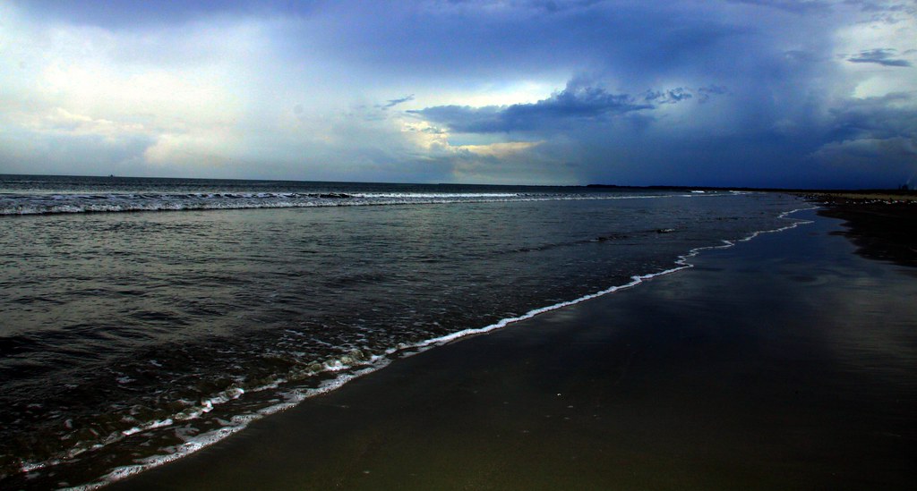 Cumberland Island Beach St. Marys GA 029 Darryl Moran Flickr