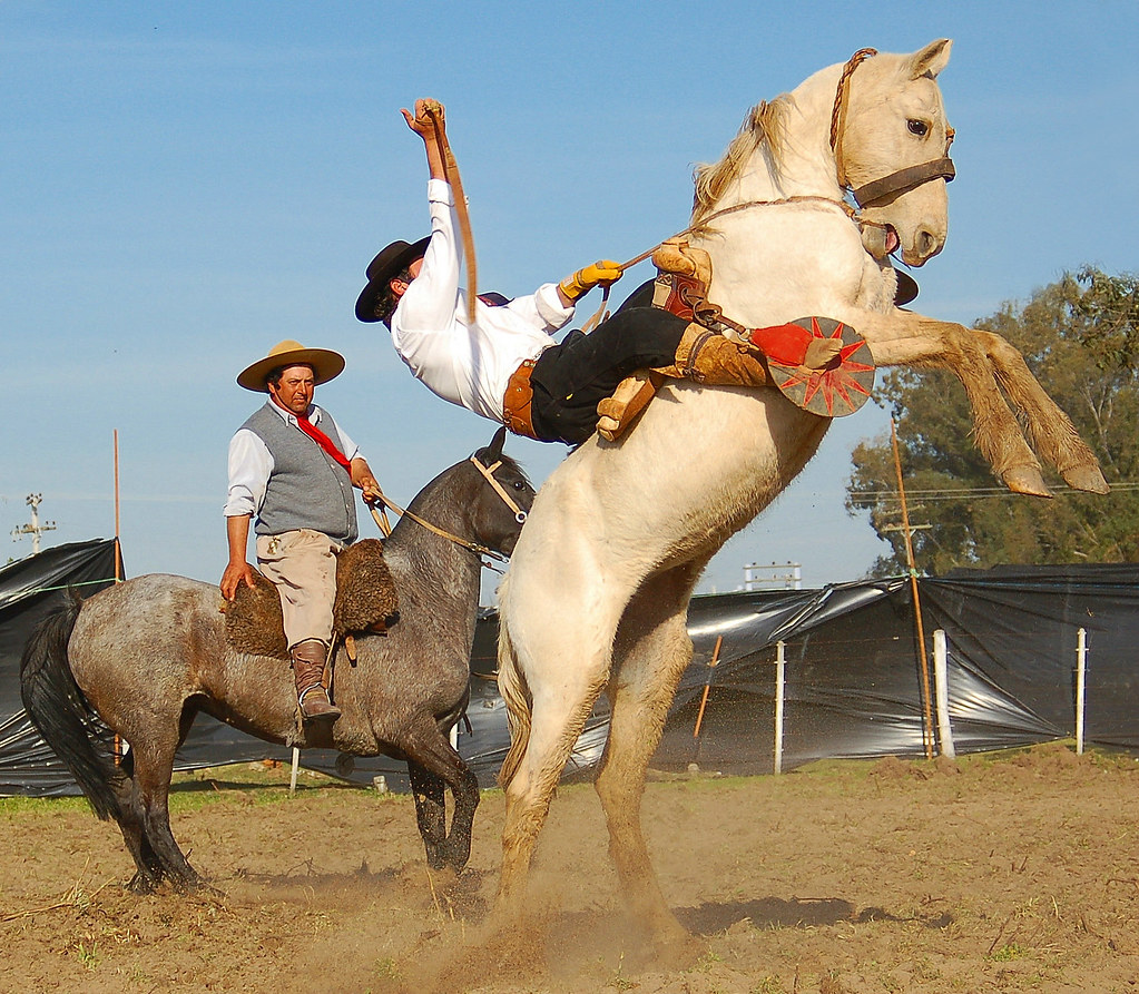 De cavalos e gaúchos "Se é pra falar de araganos cavalos e… Flickr