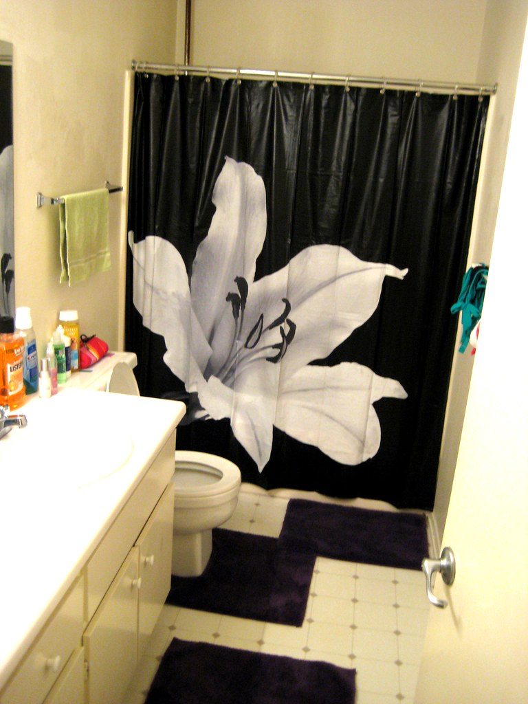 College Bathroom Ideas Bathroom