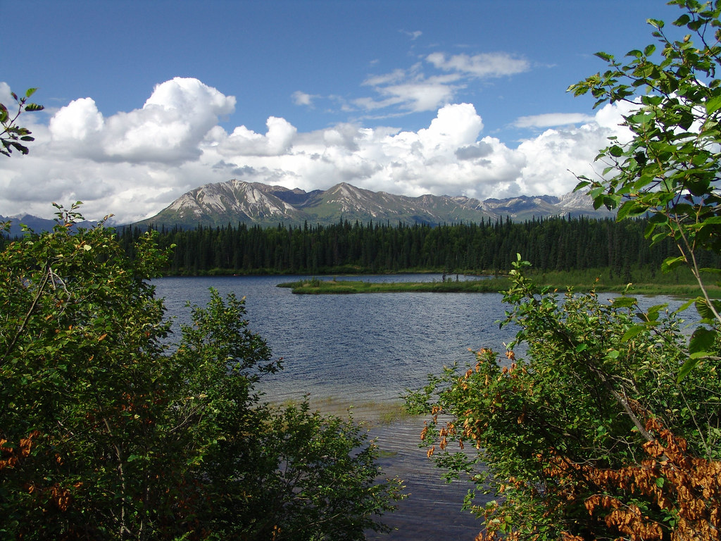 Byers Lake and the Alaska Range A view of the Alaska Range… Flickr