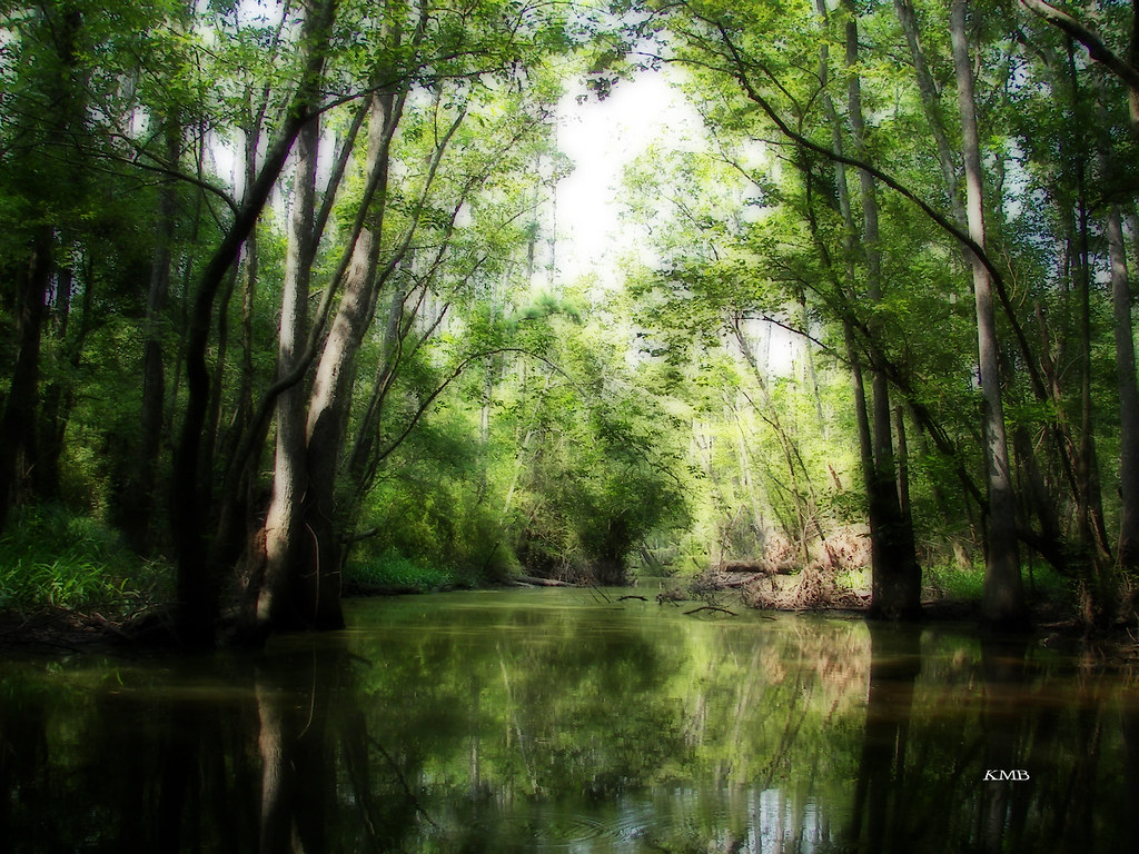 Tickfaw River Edited with Orton Karen Flickr