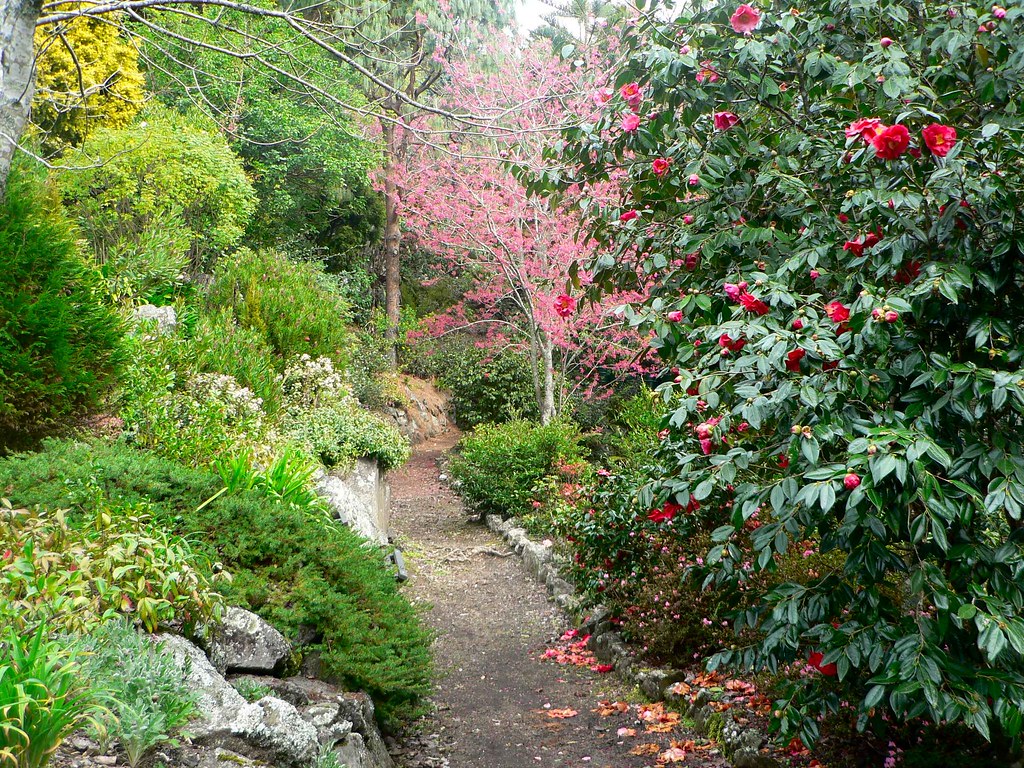 Eden Gardens, Epsom, Auckland, New Zealand Path in the gar… Flickr