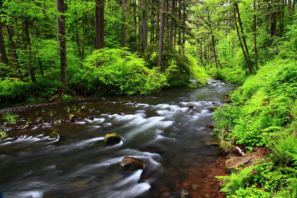 Silver Creek, Silver Falls State Park, Oregon Joseph Dsilva Flickr