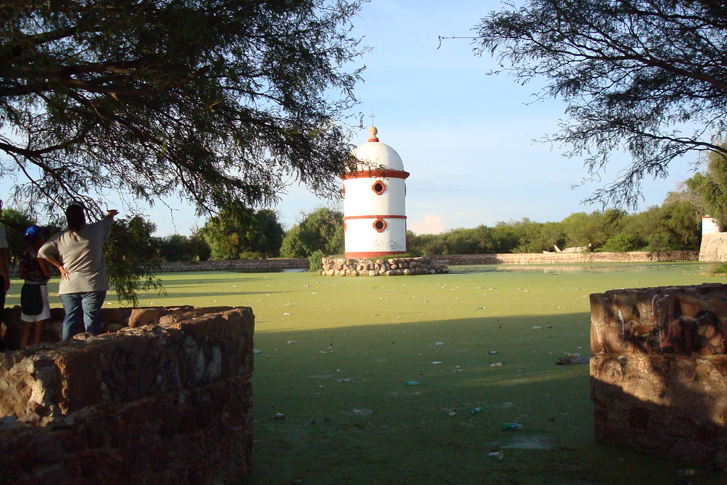 El Estanque de Salinas de Hidalgo Esto es lo que en un tie… Flickr