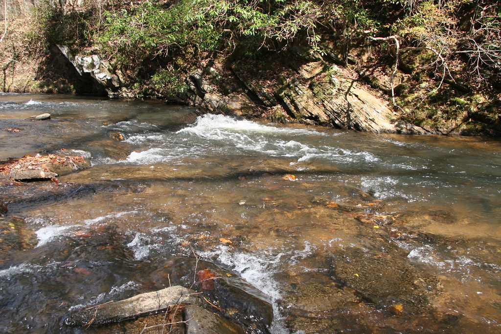 Shoal Creek shoals (2) These shallowwater shoals are impo… Flickr