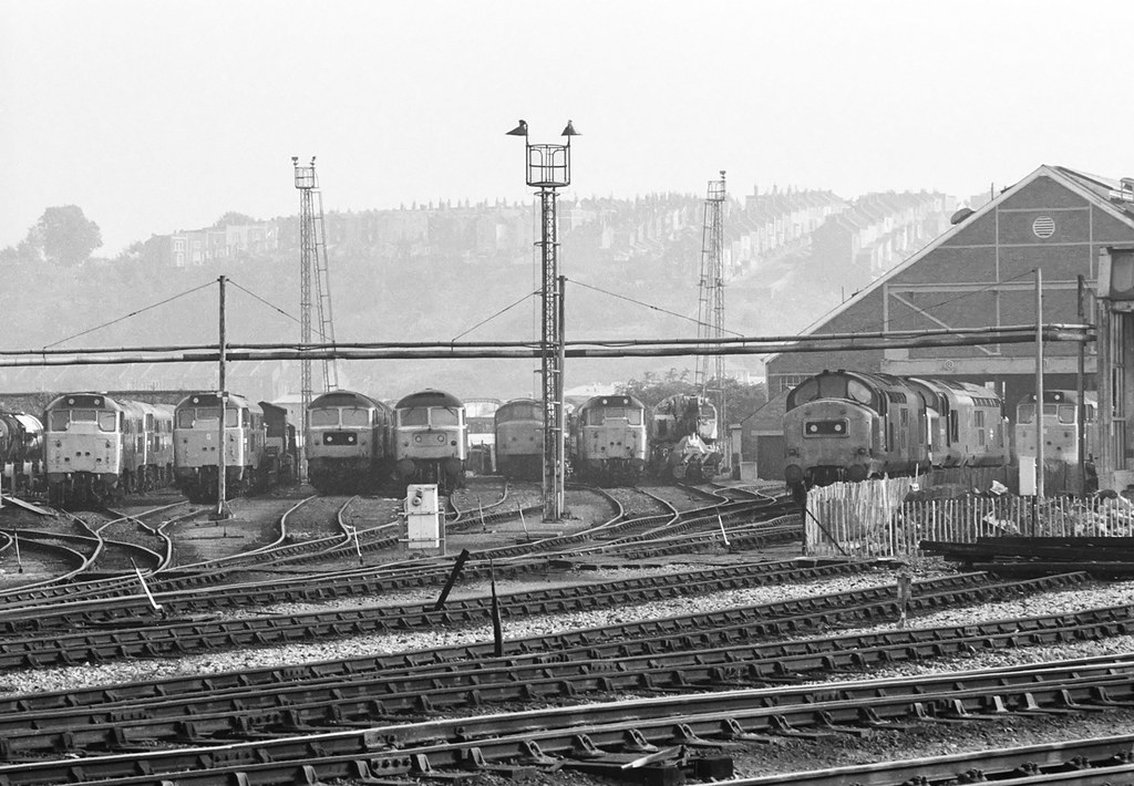 Bristol Bath Road A fine line up in September 1982, althou… Flickr