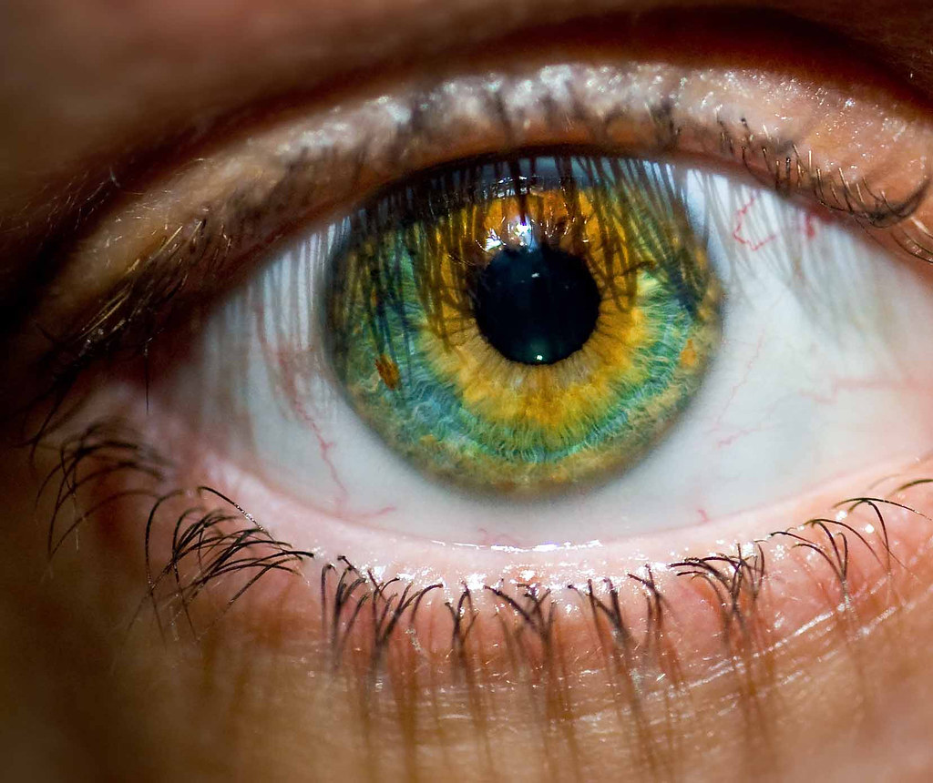 sunflower eye trying to let go of the worry of things i ca… Flickr