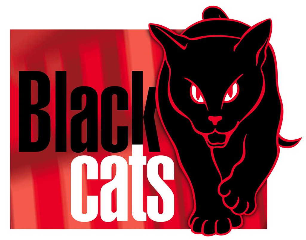 The Black Cats logo Given with the kind permission of Sund… Flickr
