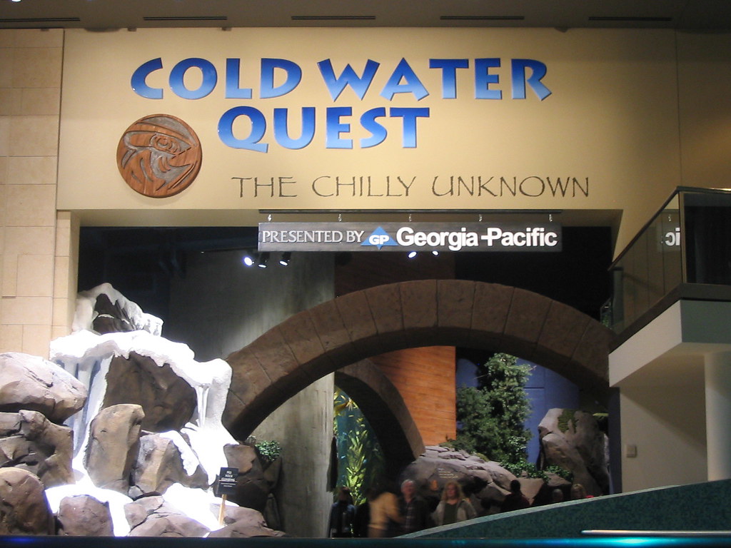 Cold Water Quest, Aquarium 2006 Maid Mirawyn Flickr