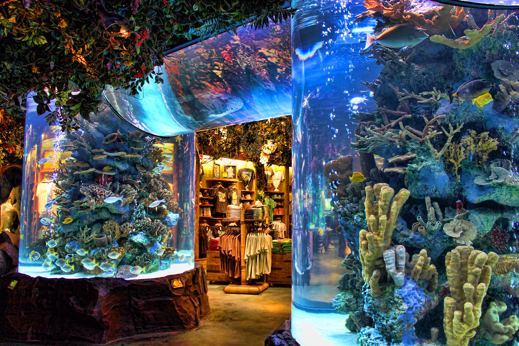 Rainforest Cafe This was seen at the Rainforest Cafe at Di… Flickr