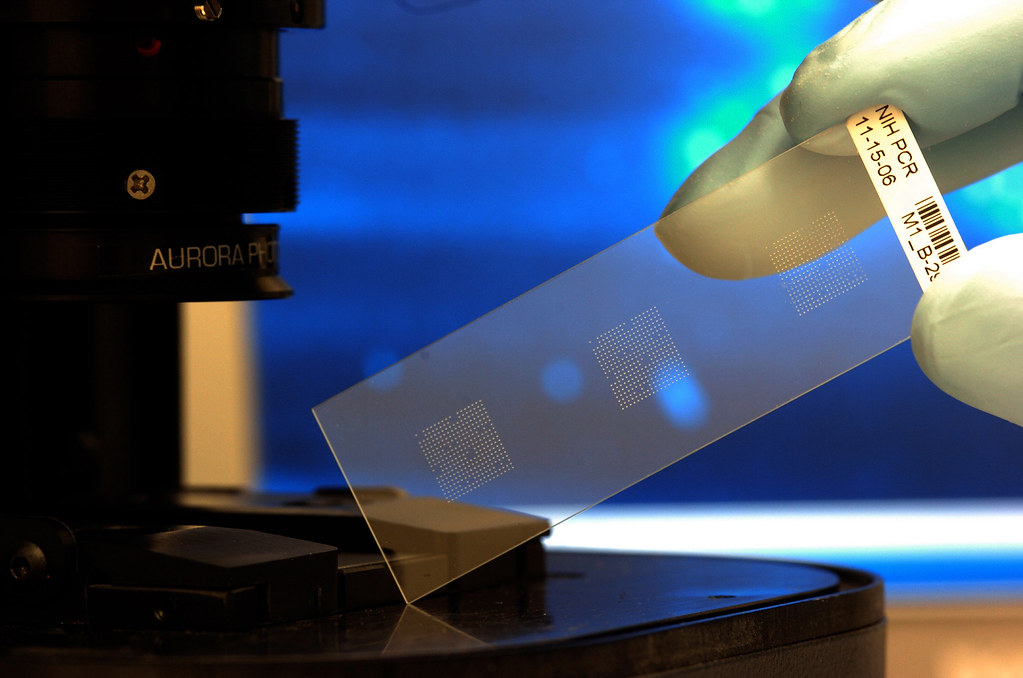 Biochip technology Biochip technology could standar… Flickr