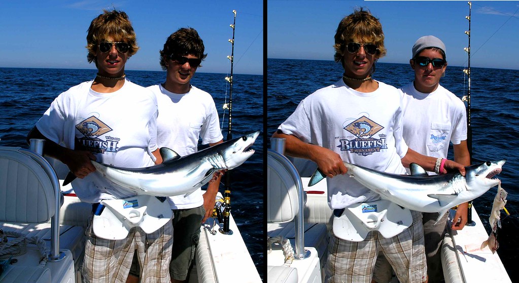 mako shark baby pup released missed a huge thresher same d… Flickr