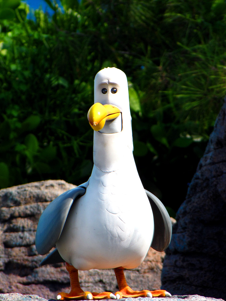 Finding Nemo Seagull disneylori Flickr