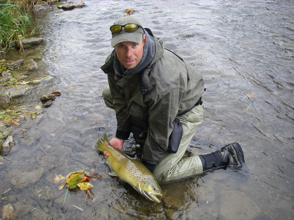 Ontario Brown Trout