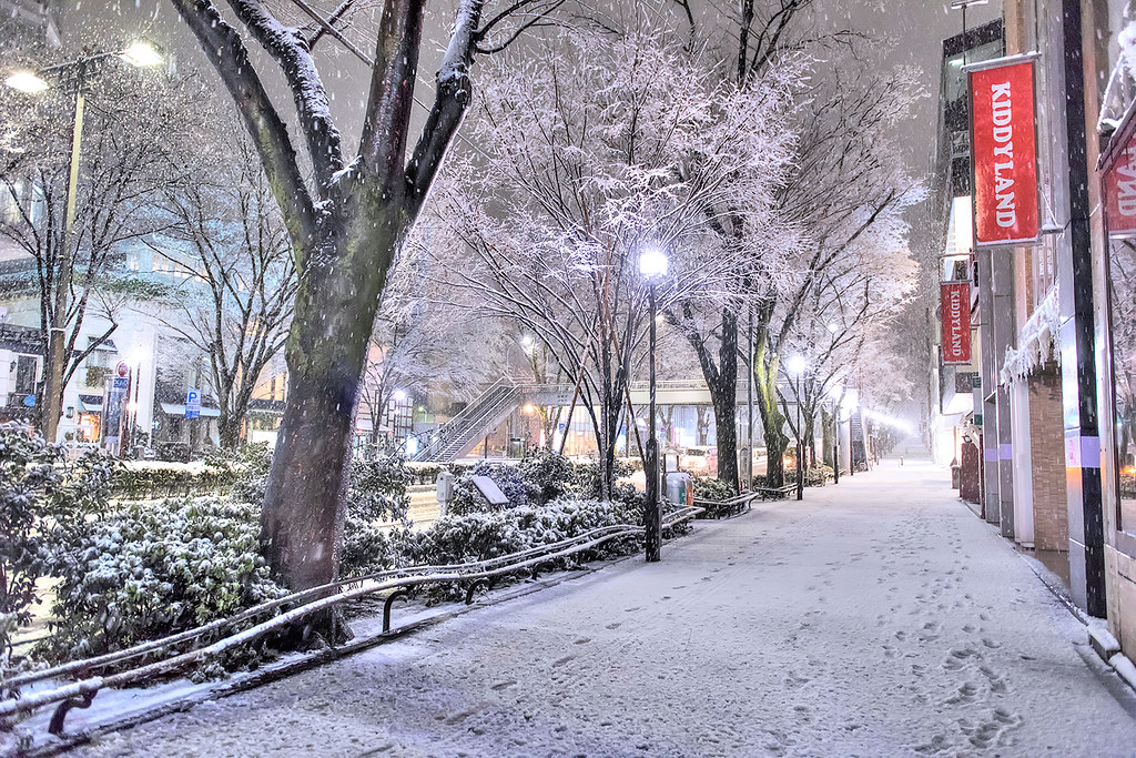 Tokyo Snow 2016 Snow on the streets of Harajuku and Omotes… Flickr