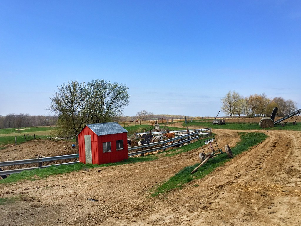 Amish Farm Cashton, WI 113/366 Jake Flickr