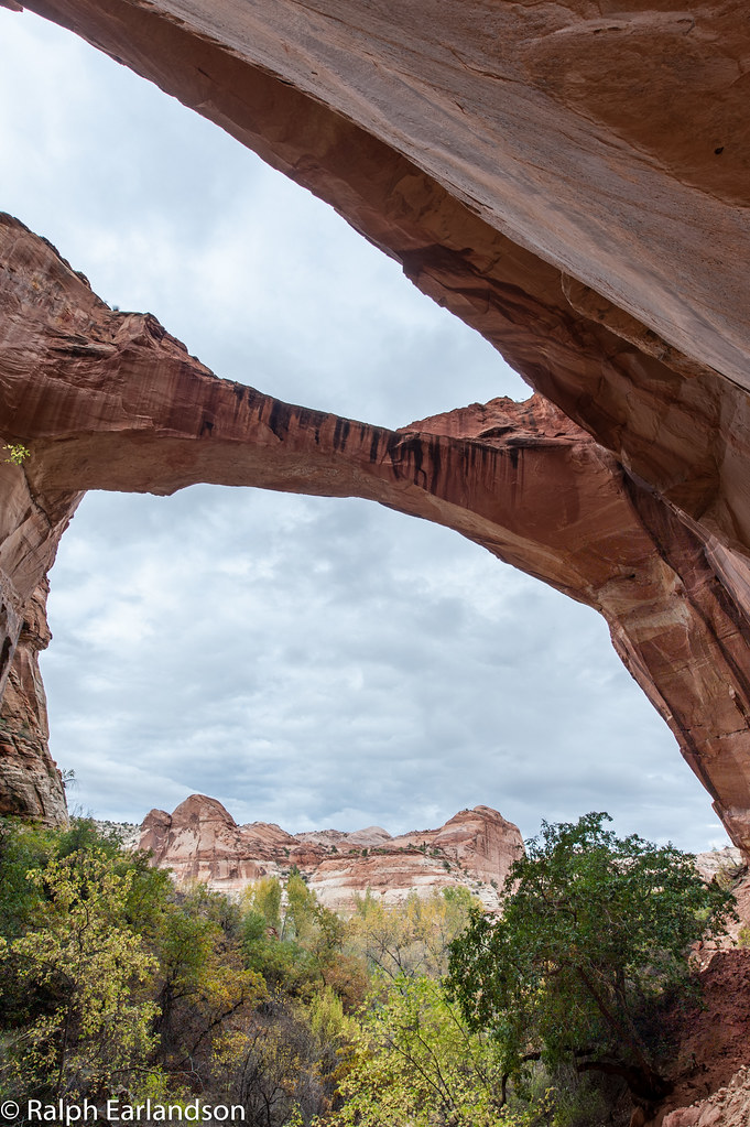 Natural Bridge in Vertical The Escalante Natural Bridge al… Flickr