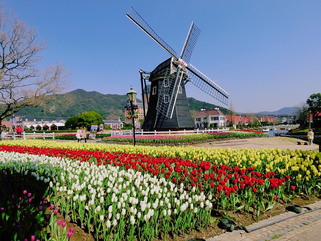 Huis Ten Bosch With Junya Cheeserland