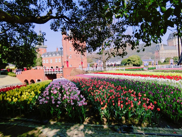 Huis Ten Bosch With Junya Cheeserland