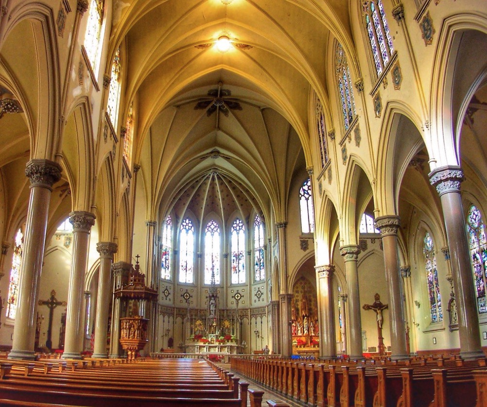 St Louis Authentic Buffalo Ny