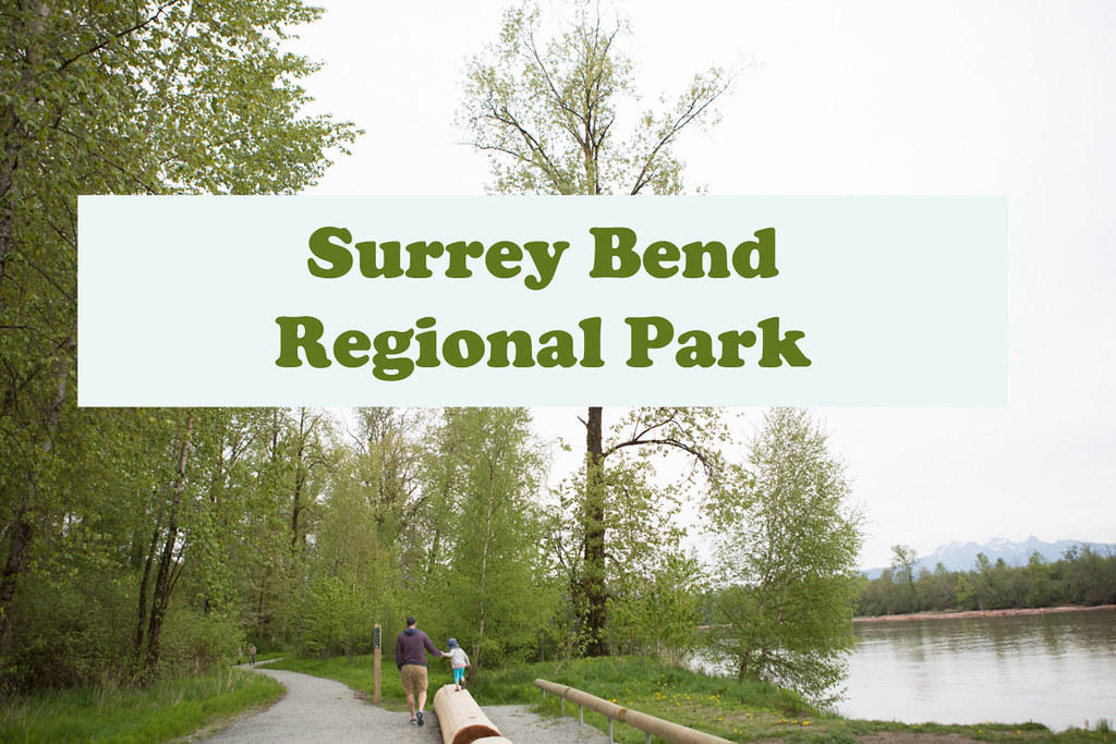 Talk Nerdy To Me Surrey Bend Regional Park